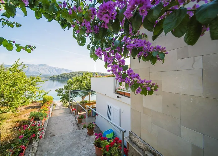 4446b Διαμέρισμα