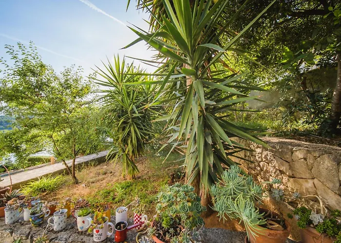 Διαμέρισμα 4446b *