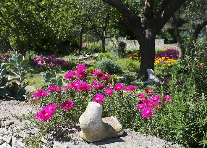 Διαμέρισμα 4446b